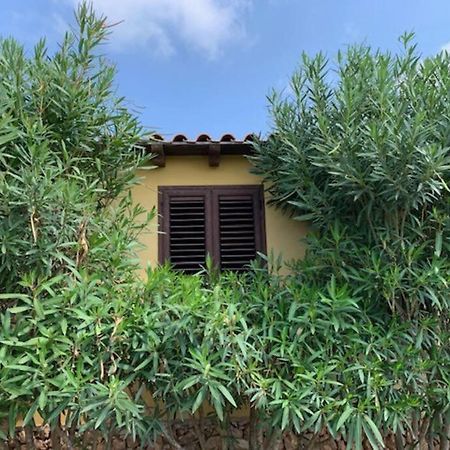 Villa Maveda, Un Dammuso Immerso Nel Verde لامبيدوزا المظهر الخارجي الصورة