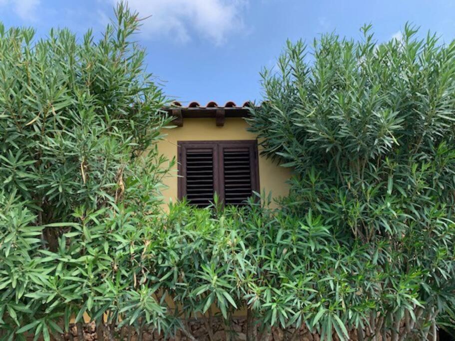 Villa Maveda, Un Dammuso Immerso Nel Verde لامبيدوزا المظهر الخارجي الصورة