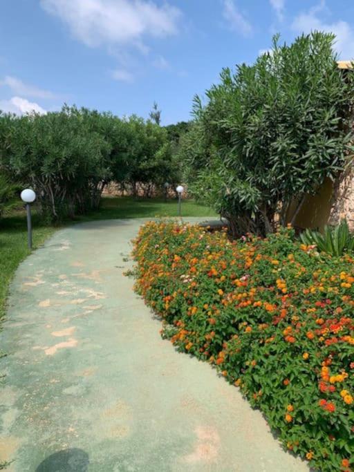 Villa Maveda, Un Dammuso Immerso Nel Verde لامبيدوزا المظهر الخارجي الصورة