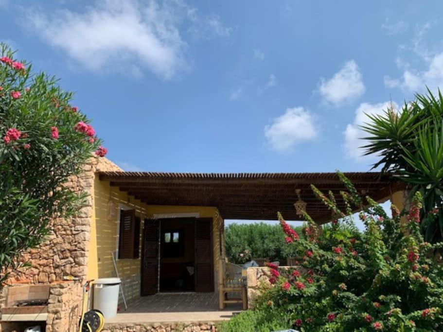 Villa Maveda, Un Dammuso Immerso Nel Verde لامبيدوزا المظهر الخارجي الصورة